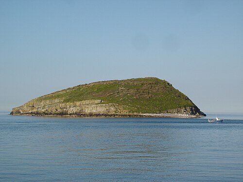 Puffin Island (Anglesey)