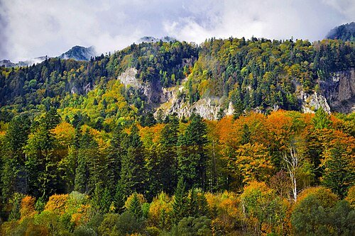 File:Bucegi Mountains, Sinaia (54943833171).jpg